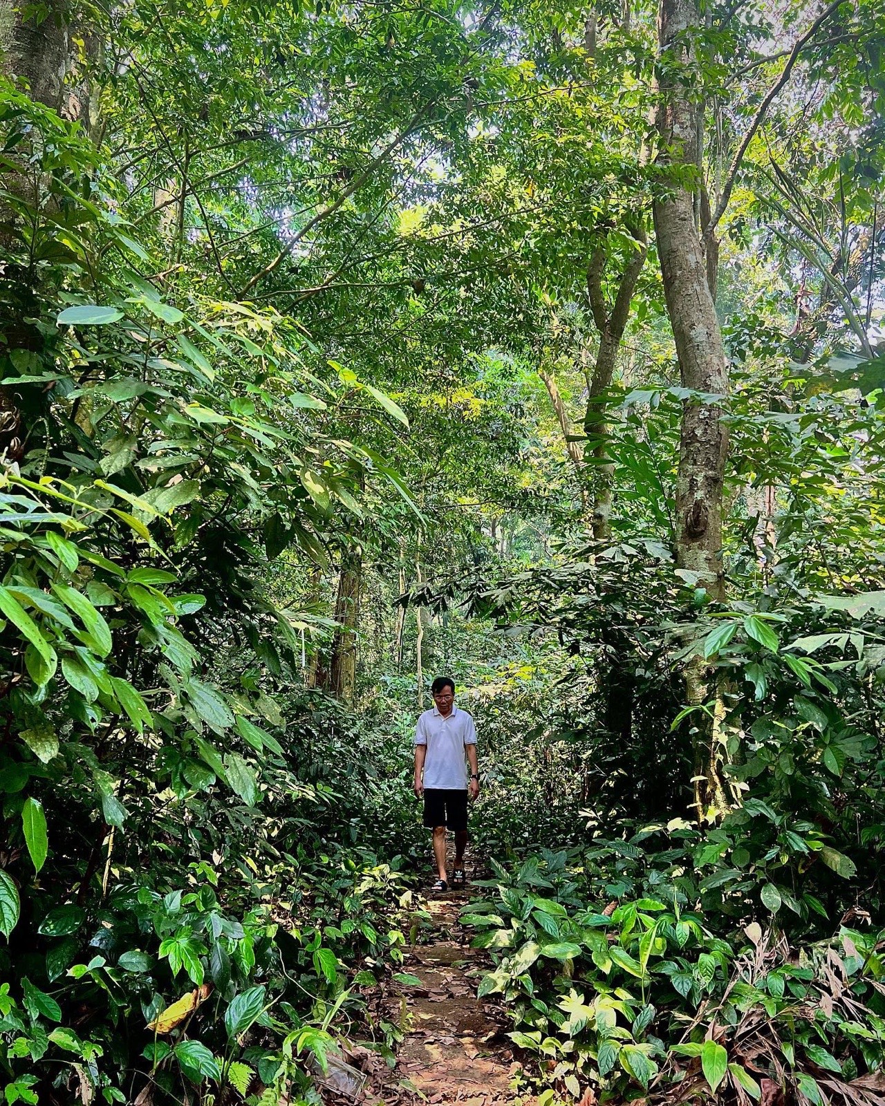 El padre de Belén en un sendero del bosque viejo de Cúc Phương