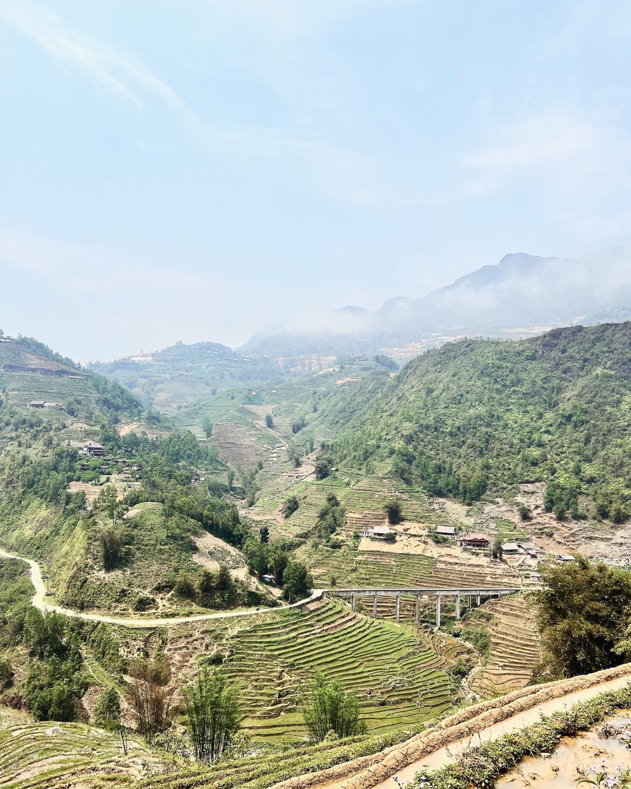 Rice terraces in a green valley in the north of Vietnam